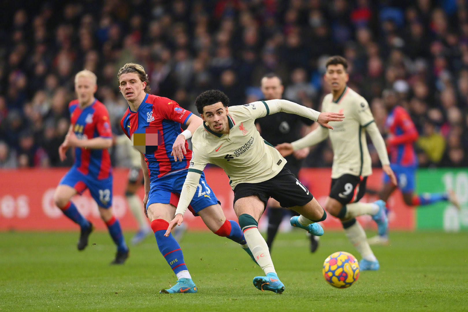 商业化趋势 商业化趋势